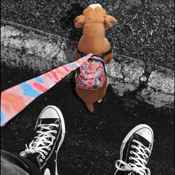 PET Backpack for Dogs, Cats, or Small Animals Size M. - Picture 2 of 15